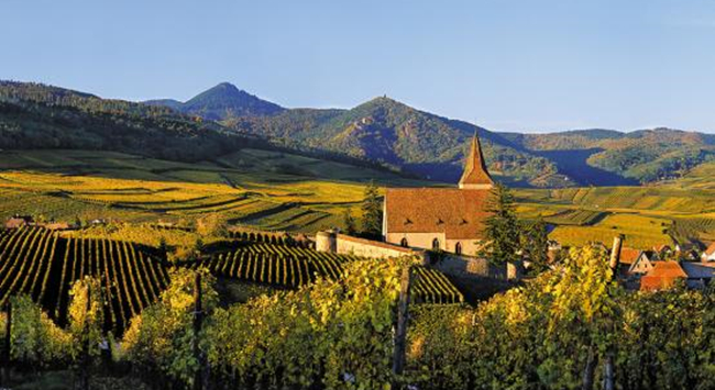 1a36efda-1798-495f-bab1-fd763a8c6919 1a36efda-1798-495f-bab1-fd763a8c6919