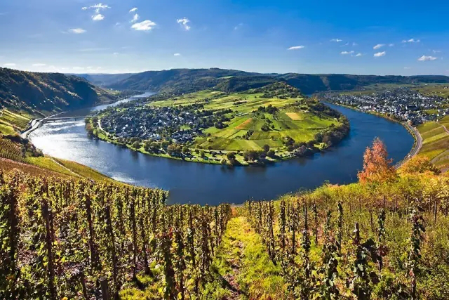 全球升溫，或將影響葡萄酒口感